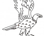 Coloriage Aigle debout