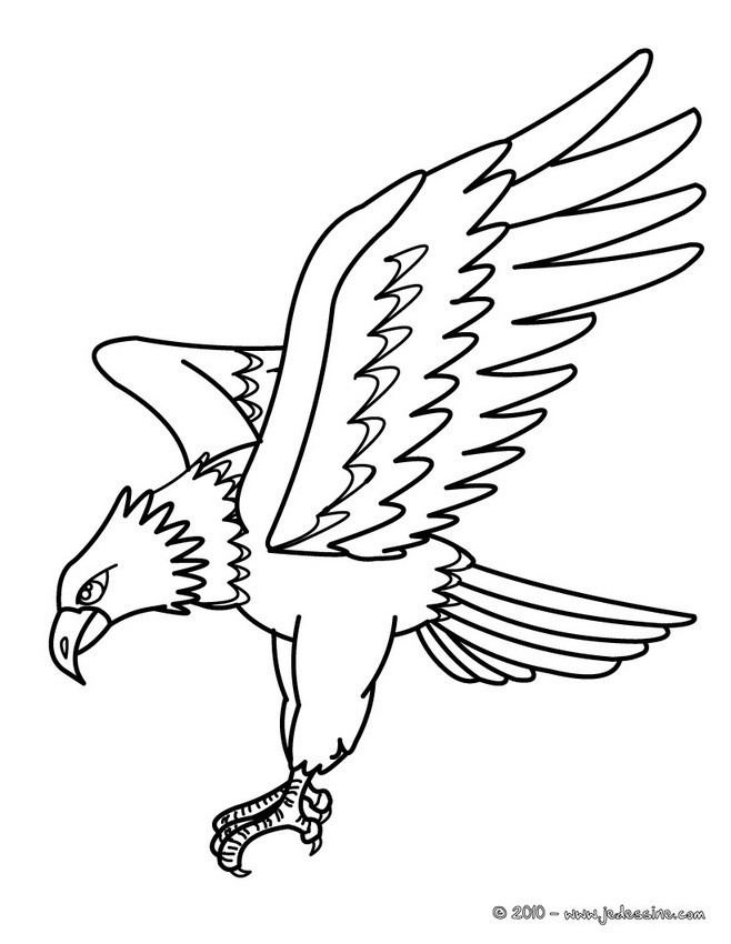 Coloriage Aigle En Chasse Dessin Gratuit à Imprimer