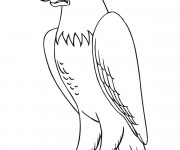Coloriage Aigle en col&egrave;re