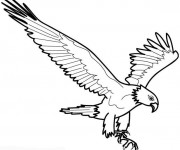 Coloriage Aigle en l'air