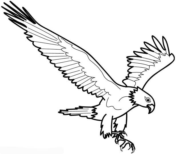 Coloriage et dessins gratuits Aigle en l'air à imprimer