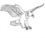 Coloriage Aigle en train de surveiller