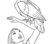 Coloriage Aigle et ma&icirc;tre