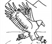 Coloriage Aigle et poisson