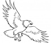 Coloriage Aigle et ses  ailes ouvertes