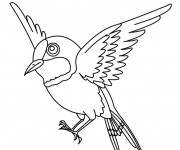 Coloriage Aigle oiseau