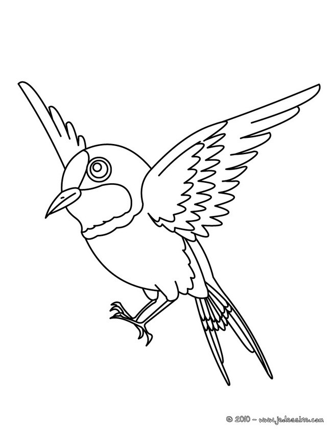 Coloriage Aigle Oiseau Dessin Gratuit à Imprimer