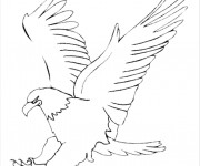 Coloriage Aigle se prépare pour attaquer