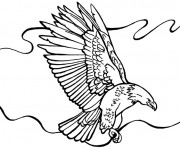 Coloriage Aigle sous les nuages