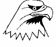 Coloriage T&ecirc;te d'Aigle