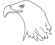 Coloriage T&ecirc;te d'Aigle Am&eacute;ricain facile