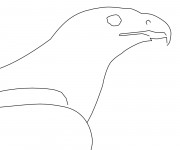 Coloriage T&ecirc;te d'Aigle facile