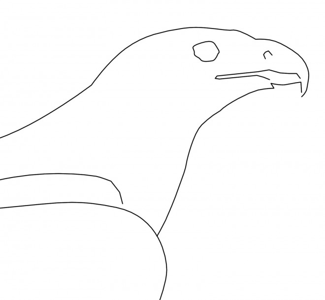 Coloriage et dessins gratuits Tête d'Aigle facile à imprimer