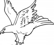 Coloriage et dessins gratuit Un beau Aigle en vol à imprimer