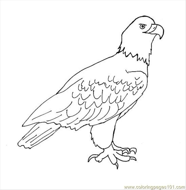 Coloriage et dessins gratuits Un petit Aigle facile à imprimer
