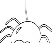 Coloriage Araign&eacute;e amusante