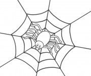 Coloriage Araign&eacute;e attend sa victime