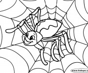 Coloriage Araign&eacute;e contente