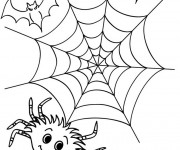 Coloriage Araign&eacute;e de Halloween