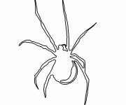Coloriage Araign&eacute;e domestique maternelle