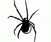 Coloriage Araign&eacute;e en noir en ligne