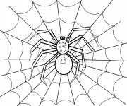 Coloriage Araign&eacute;e en noir et  La Toile