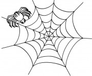 Coloriage Araign&eacute;e et sa toile pour enfant