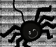 Coloriage Araign&eacute;e noire