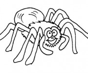 Coloriage Araign&eacute;e qui rigole