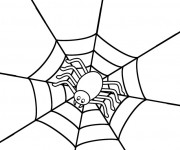 Coloriage Araign&eacute;e sur sa toile stylis&eacute;