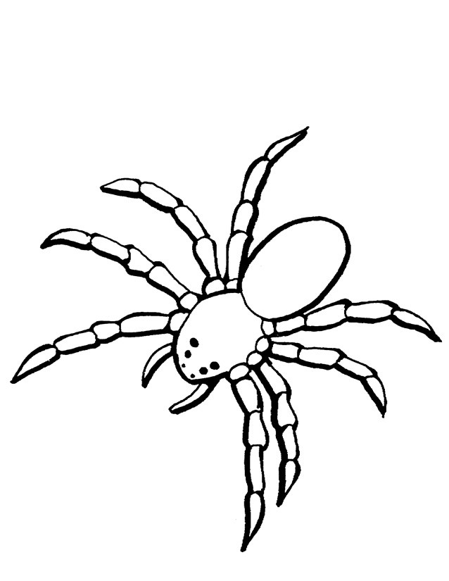 Coloriage et dessins gratuits Araignée terrestre à imprimer