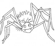 Coloriage Araign&eacute;e Vampire