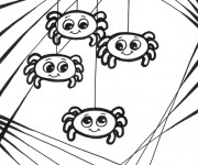 Coloriage B&eacute;b&eacute;s d'Araign&eacute;e