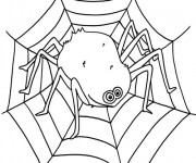Coloriage Grosse Araign&eacute;e sur La toile