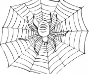 Coloriage Toile Facile