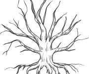 Coloriage Arbre abstrait avec des racines