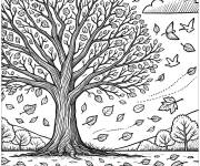 Coloriage Arbre avec des feuilles tombantes r&eacute;aliste