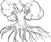 Coloriage Arbre avec des racines au printemps