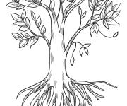 Coloriage Arbre avec des racines gratuit