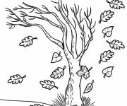 Coloriage et dessins gratuit Arbre avec les feuilles en tombant pour les enfants à imprimer