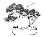 Coloriage Arbre bonsai r&eacute;aliste en noir et blanc