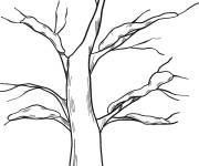 Coloriage et dessins gratuit Arbre d'hiver avec la neige à imprimer