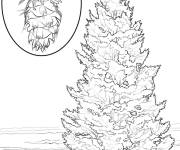 Coloriage Arbre de Douglas
