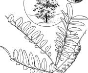 Coloriage Arbre de f&eacute;vier &eacute;pineux