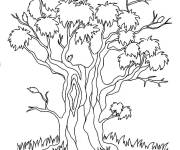 Coloriage Arbre de l'automne dessin&eacute; &agrave; la main