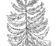 Coloriage Arbre de l'hiver r&eacute;aliste en fond blanc