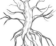 Coloriage Arbre dess&eacute;ch&eacute; r&eacute;aliste