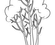 Coloriage Arbre dessous