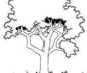 Coloriage et dessins gratuit Arbre et racines r&eacute;aliste en ligne à imprimer