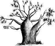 Coloriage Arbre goutteux abstrait